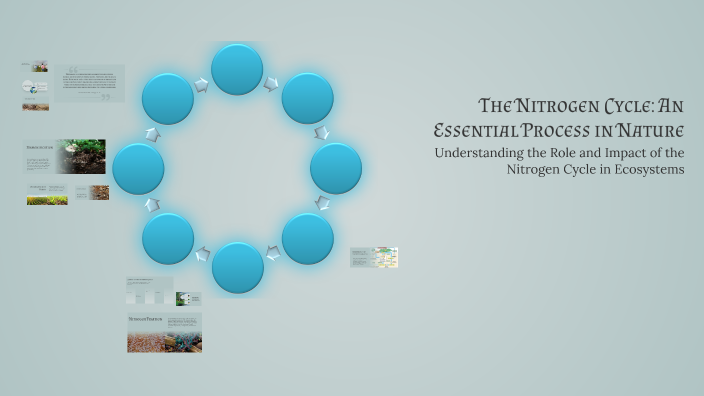 The Nitrogen Cycle: An Essential Process in Nature by Lucas Gonzalez on ...