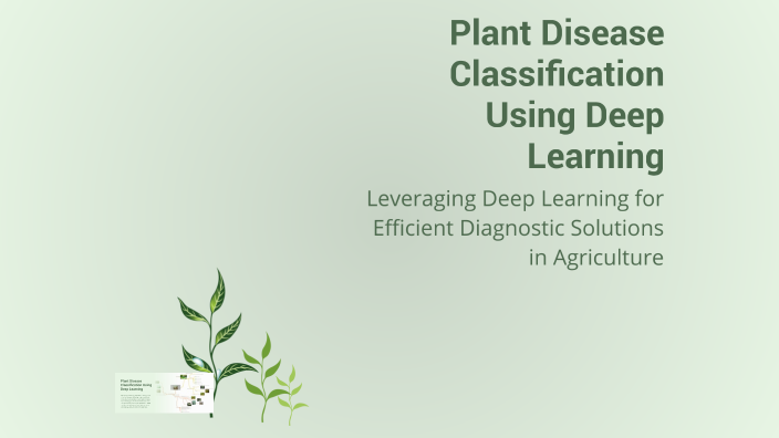Plant Disease Classification Using Deep Learning by Yomna Mahmoud on Prezi