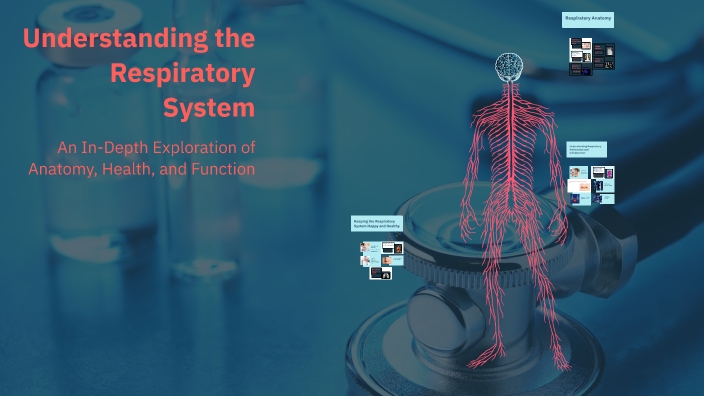 Understanding the Respiratory System by carter jackson on Prezi