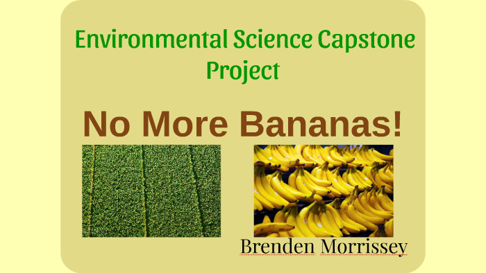 capstone project ideas environmental
