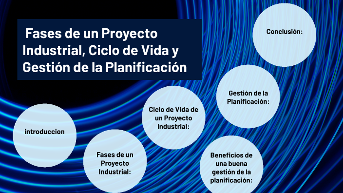 Fases de un Proyecto Industrial, Ciclo de Vida y Gestión de la ...