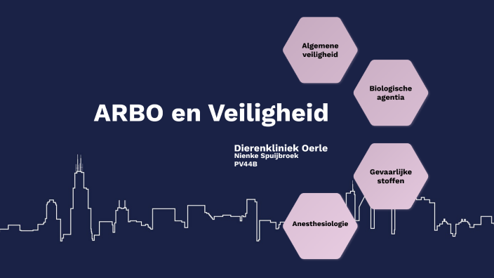 ARBO/Veiligheid By Nienke Spuijbroek On Prezi