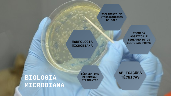 Biologia Microbiana by Rosa Santos