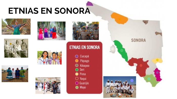 Grupos étnicos en Sonora by Carlos alberto Maciel Camacho on Prezi