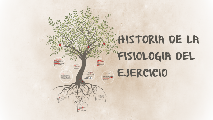 FISIOLOGIA DEL EJERCICIO by maria fernanada velasquez barreto on Prezi