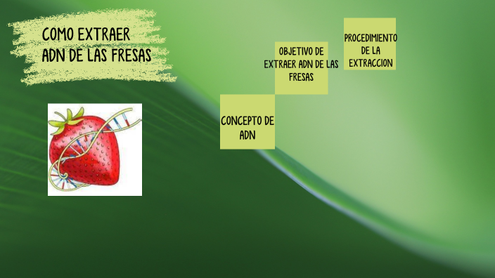 como extraer ADN de una fruta by Thaiz Nazareno on Prezi