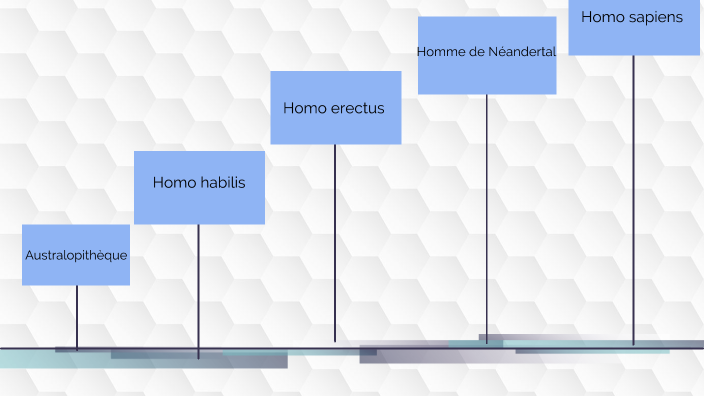 origines du langage by Laure LEFEBVRE on Prezi