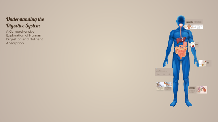 Understanding the Digestive System by Gracita Adra on Prezi