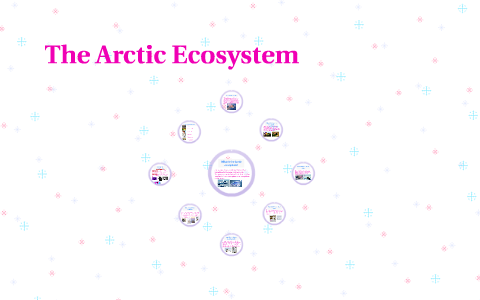 The Arctic Ecosystem by Group 15 CSCC on Prezi