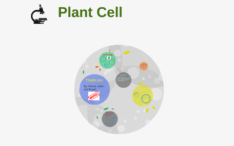 Cell Parts Analogy For The Plant Cell By Josh Sahota