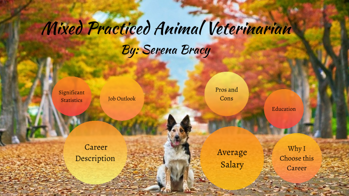 Mixed Practice Animal Veterinarian by serena bracy