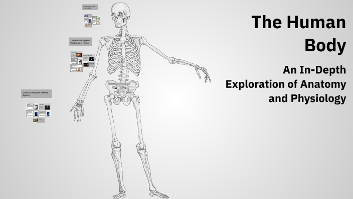 The Human Body by Rune Maes on Prezi