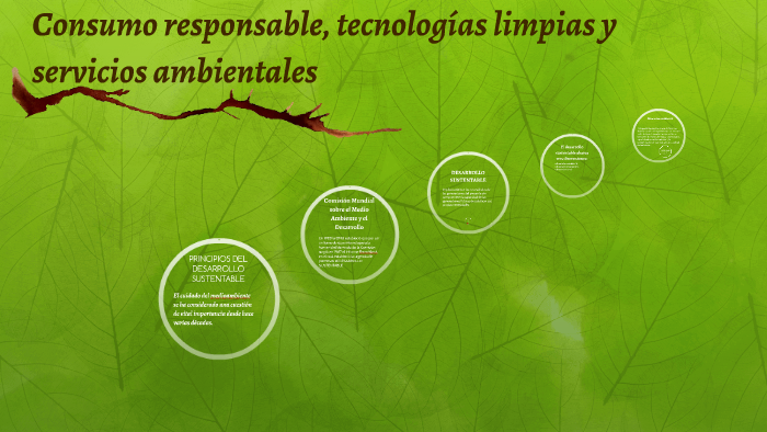 consumo responsable, tecnologías limpias y servicios ambient by Miriam