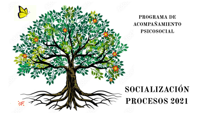 SOCIALIZACIÓN PROCESOS 2021 by Daniela Borja on Prezi