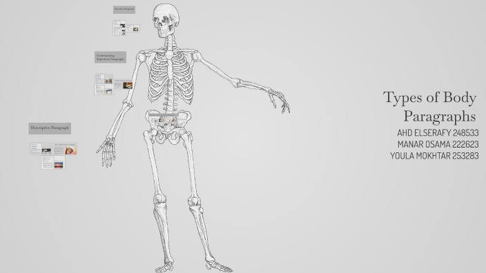 Types of Body Paragraphs by ahd elserafy on Prezi