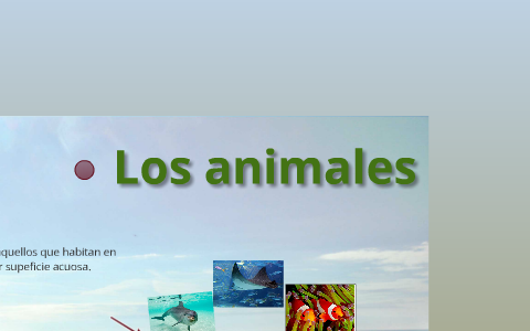 Animales acuáticos y terrestres by Sac Saucedo on Prezi