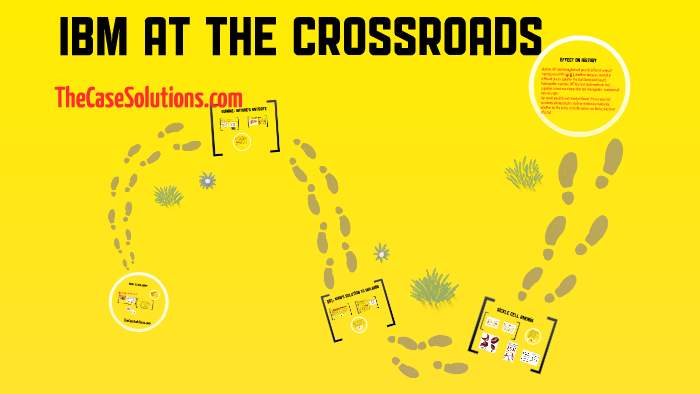 ibm at the crossroads case study