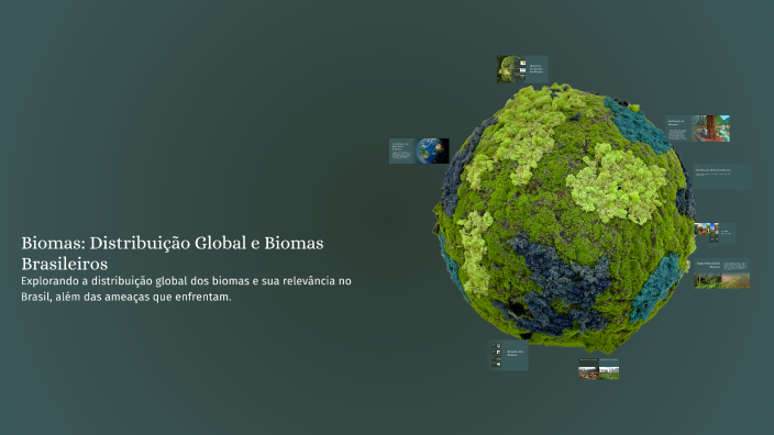 Biomas: Distribuição Global e Biomas Brasileiros by Henriette Soares on ...