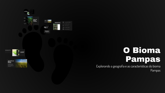 O Bioma Pampas by Maria Rita on Prezi