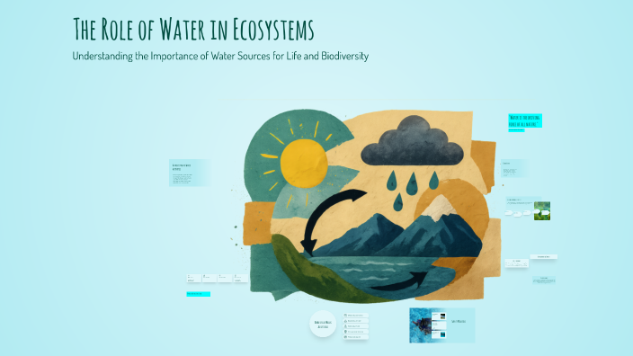 The Role of Water in Ecosystems by Juli Friedlová on Prezi