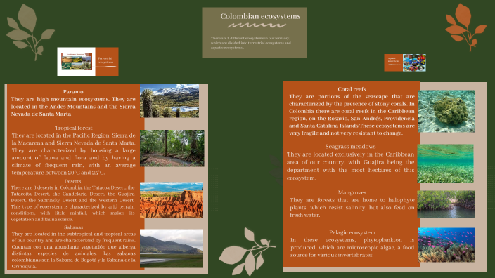 ECOSISTEMAS COLOMBIANOS by Yamile Tobon on Prezi