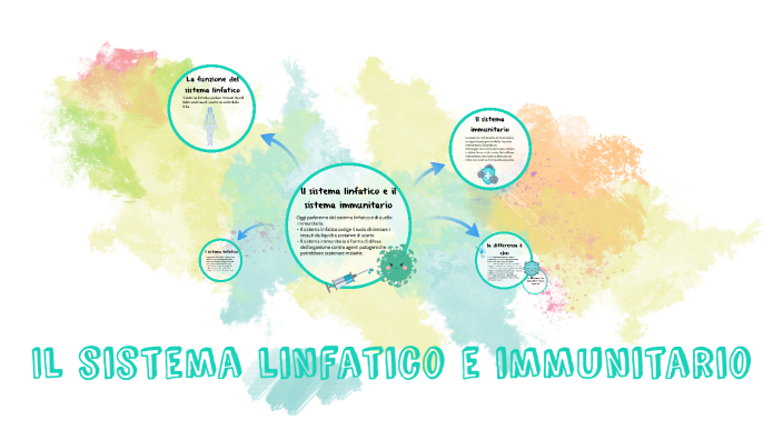 Il Sistema Linfatico E Immunitario By Michela On Prezi