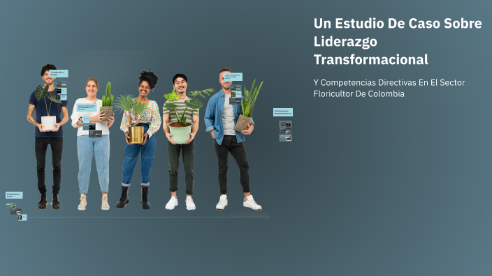 Un Estudio De Caso Sobre Liderazgo Transformacional by LUZ MONTENEGRO ...
