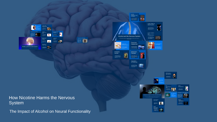 How Nicotine Harms the Nervous System by Ira Ivanova on Prezi