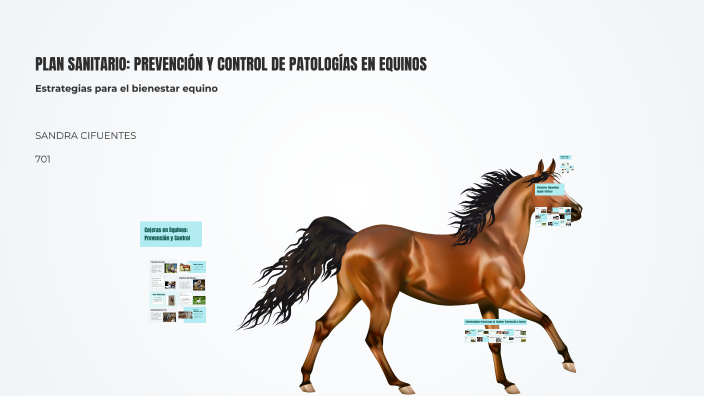 PLAN SANITARIO: PREVENCIÓN Y CONTROL DE PATOLOGÍAS EN EQUINOS by Sandra