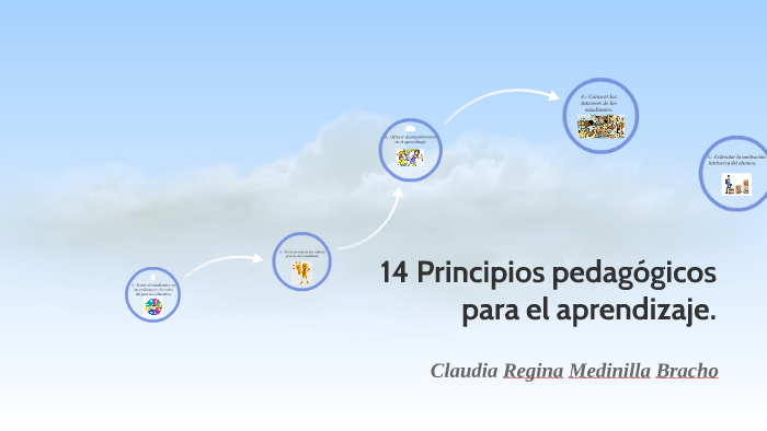 14 Principios Pedagógicos Para El Aprendizaje By Claudia Regina ...