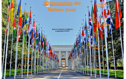L'Organisation des Nations Unies by Keyvann Zertal