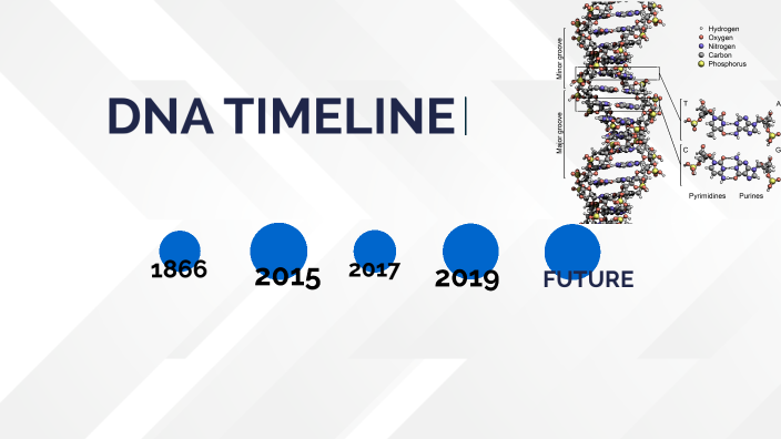 History of DNA by Matthew Dwyer on Prezi