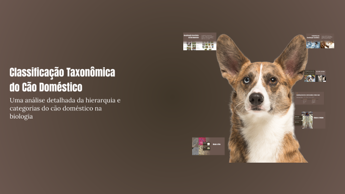 Classificação Taxonômica do Cão Doméstico by Jhomaxon Gonçalves on Prezi