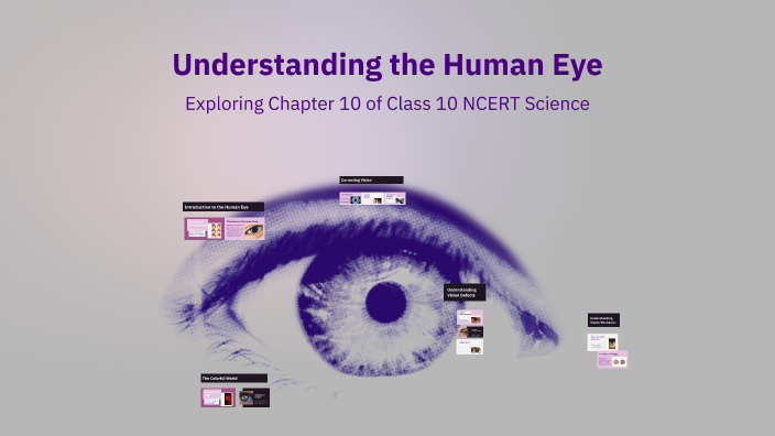 Understanding the Human Eye by Vivan Trivedi on Prezi