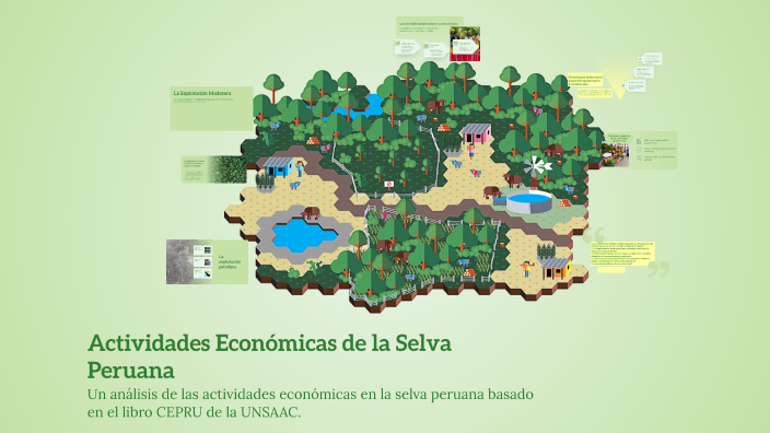 Actividades Económicas de la Selva Peruana by Jheremy Calle on Prezi
