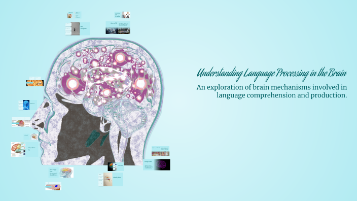 Understanding Language Processing in the Brain by Zahraa Sh on Prezi