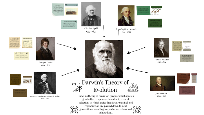 Contributions to Darwin's Evolutionary Theory by Talia Trigueros on Prezi