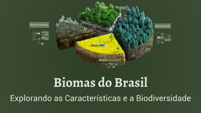 Biomas do Brasil by Angela Rohr on Prezi