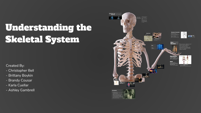 Understanding the Skeletal System by Brittany Boykin on Prezi