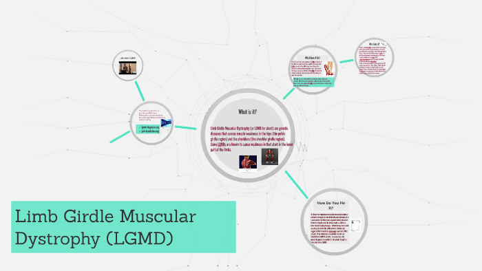 Limb Girdle Muscular Dystrophy (LGMD) by Ritchmy Richard on Prezi