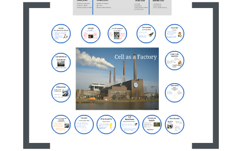 Cell as a Factory by Katie Breischaft on Prezi