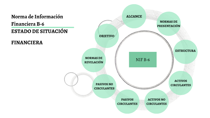 Norma De Información Financiera B-6 ESTADO DE SITUACIÓN FINANCIERA By ...