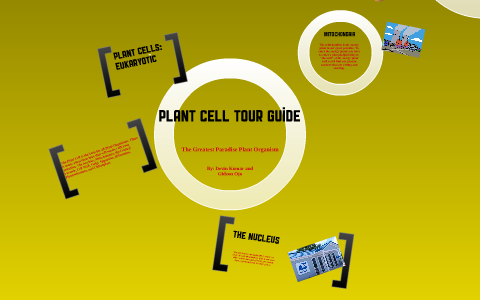 Plant Cell Tour Guide by Devin Kumar