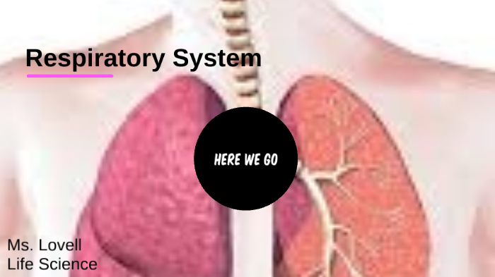 Respiratory System by on Prezi