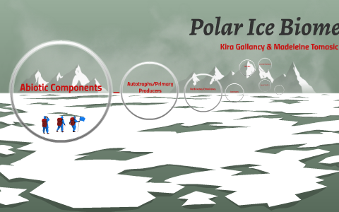 Polar Ice Biome by Kira Gallancy on Prezi