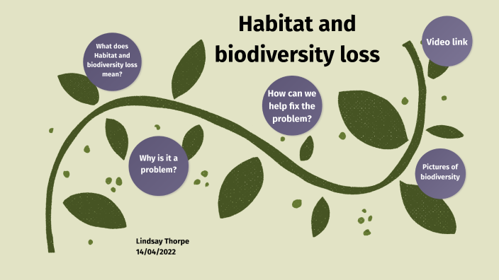 Habitat and biodiversity loss by LINDSAY THORPE