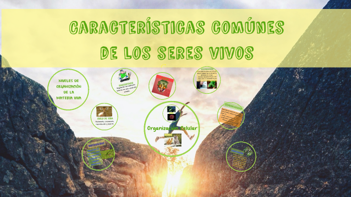 Características comunes Seres Vivos by Vanessa Hernandez on Prezi