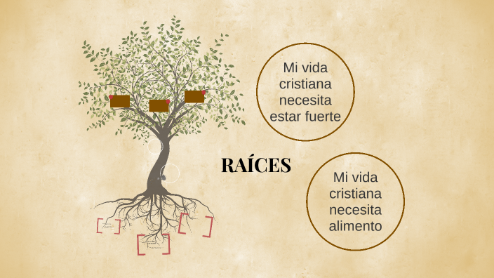 RAÍCES by vidaenfamilia spain on Prezi