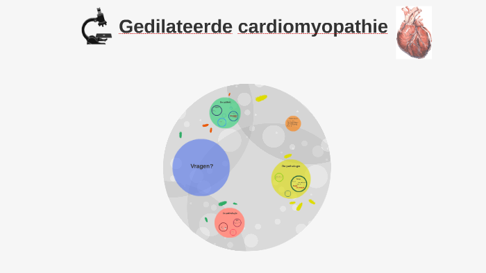 Gedilateerde Cardiomyopathie by sarah verlinden