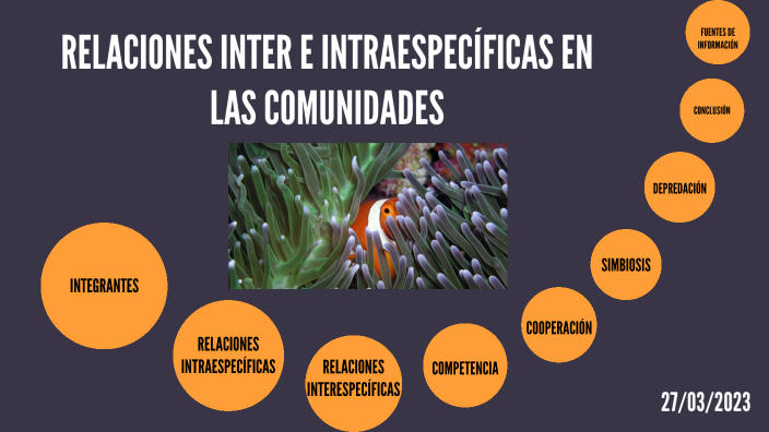 Relaciones Inter E Intraespecíficas By LANI DANAE AMATECO JUAREZ On Prezi